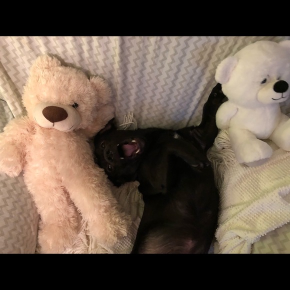 Shop in the Name of Love - Picture 3 of 7